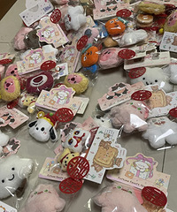 �����˳������