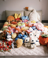 û��һ��������