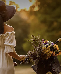 ��ͥ����Σ�գ�ֻ��һ������Ǯ