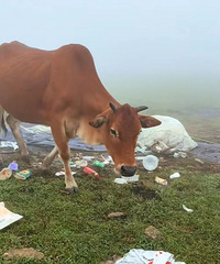 ��������̨�ݴ���ɽ�����ˡ��ˣ��������������ţ�ڳ����ϴ�