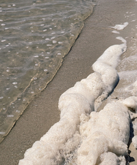 Ϊʲô��ɳ̲��ô����ĭ��