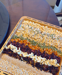 �ֿ�ʼ���±��ˣ�����׾ƺ������ģ��ɱ�Ҳ����ߵ�