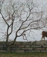 ���д��ˣ���ʮ����ش����ĸ�����籣