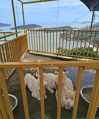 �ü���ǰ������