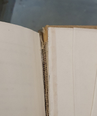 ����ʲô��ˮճ