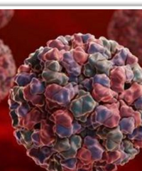 [����]���ֲ�������߷��ڣ����к���Ҫע�⣡