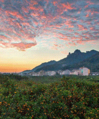 [�ղ�]���졢������ڣ�̨�����ž������й������ˣ�