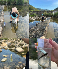 ���ҵġ�С�ɾӡ���Ϫ/ץ��/��ˮ