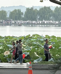 ������Լ�����ྰ��������