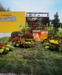 ��2025�μǡ�2025����˺����������Խ���ܽ���ջ�չ