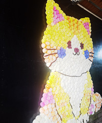 ��2025�μǡ�2025����˺����������Խ���ܽ���ջ�չ