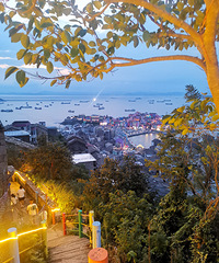 95���ٺ�����������ѧ�������Ը���ʣ��������ϵ�Ů��