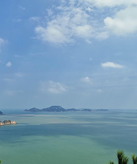 95���ٺ�����������ѧ�������Ը���ʣ��������ϵ�Ů��