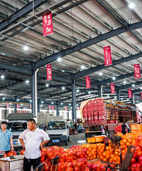 ������������й�����������������