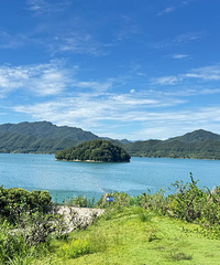 ��̶��ĺ�Ư��