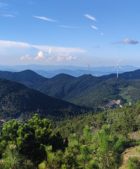 ���Ҵ��»�