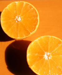 @ƻ�������������������ڡ��ٻ�������