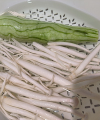 �������ʲô��������˹��������