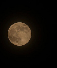 �������������������࣡��Բʱ�̳����ڡ�