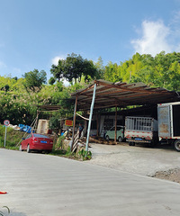 [����]������������ǻۣ������˼���ƽ��д͸�����ڡ�