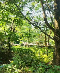 �����ɲ�ؾ����������ˡ����ٺ��ؽ���Ѵ�Ž�������ѩ�����м�