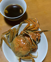 �������ʲô���ƾ����з��һֻ�з������ƾ�