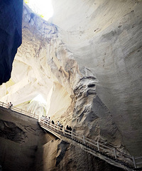 ���۸��᡿��һ��ͼ֤����������ȥ������