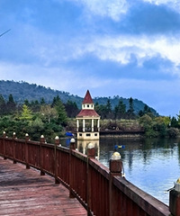 ʱ�������ٴ���û��Ҷ���ɽׯ