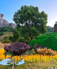 ���롰��Ұ���١����ز�ס�ˣ�С�ɱ����ι��ԡ�