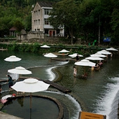 �ٺ�Ϫ����