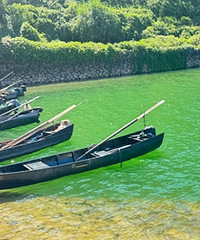 �����ˮ��ĺ���͸����������ĺ�����