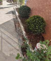 �ɳǸ��죬�ĳ������Ͳ����������ˣ���