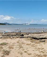 ��ţβ���Ϻ�