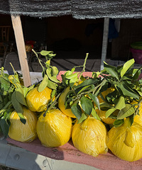 �����ĵ�9Ԫһ��Բ���