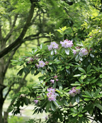 һ����·��һ�����룺������ɽ���������������