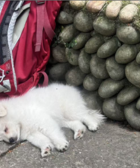 ����������