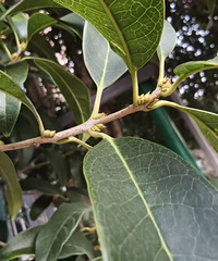 ʱ��ȷ����̨�����½�����������Ҫ��������