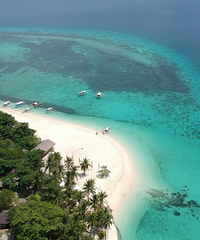 ��һ��ͼ֤����������ȥ������