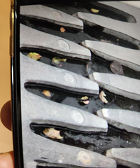 �������ŷǻ�������