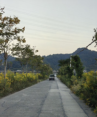 һ֧�ƻ���ʢ����