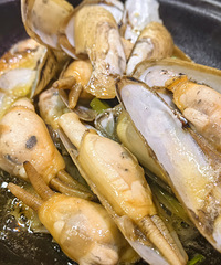 ���͟h���� ���޵���