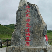 ��������߹��Ĳݵ�