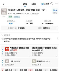 ���������¹�˾����Ԥ�Ʋ�