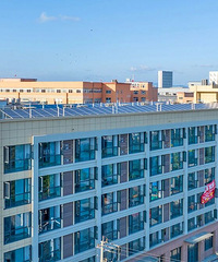 145�����䣡��һ�¹�Ԣ��������