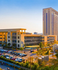 ȫ������������ѡ��