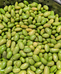 �������ʲô����ɶ�˾���ɶ�£����Ų�������������