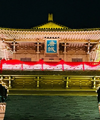 �λ�¼�������ꡢ��ɫ������è����������ȡ����