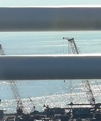 ��������ʲô