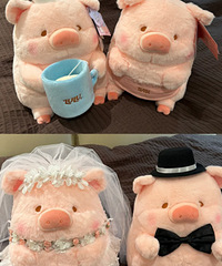 ��һ����ѹ������