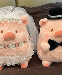 ��һ����ѹ������